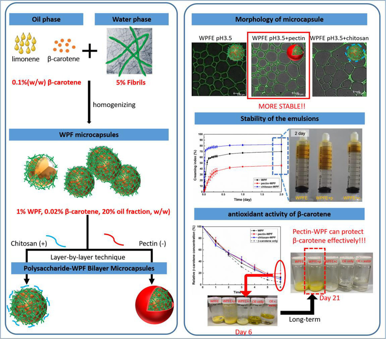 Whey Protein Fibril Microcapsules for Bioactive Encapsulation